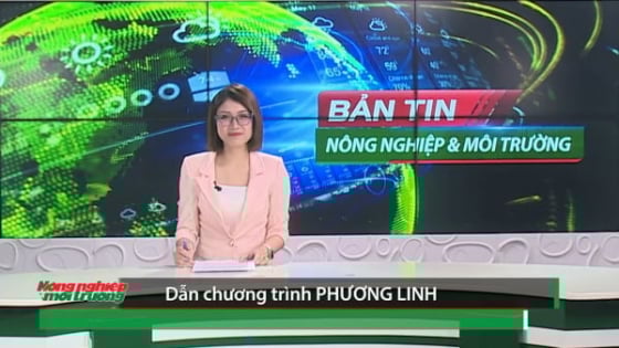 ban-tin-truyen-hinh-nong-nghiep-va-moi-truong-so-26/2025