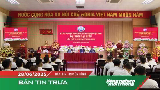 tp.-ha-noi-san-sang-van-hanh-chinh-quyen-hai-cap