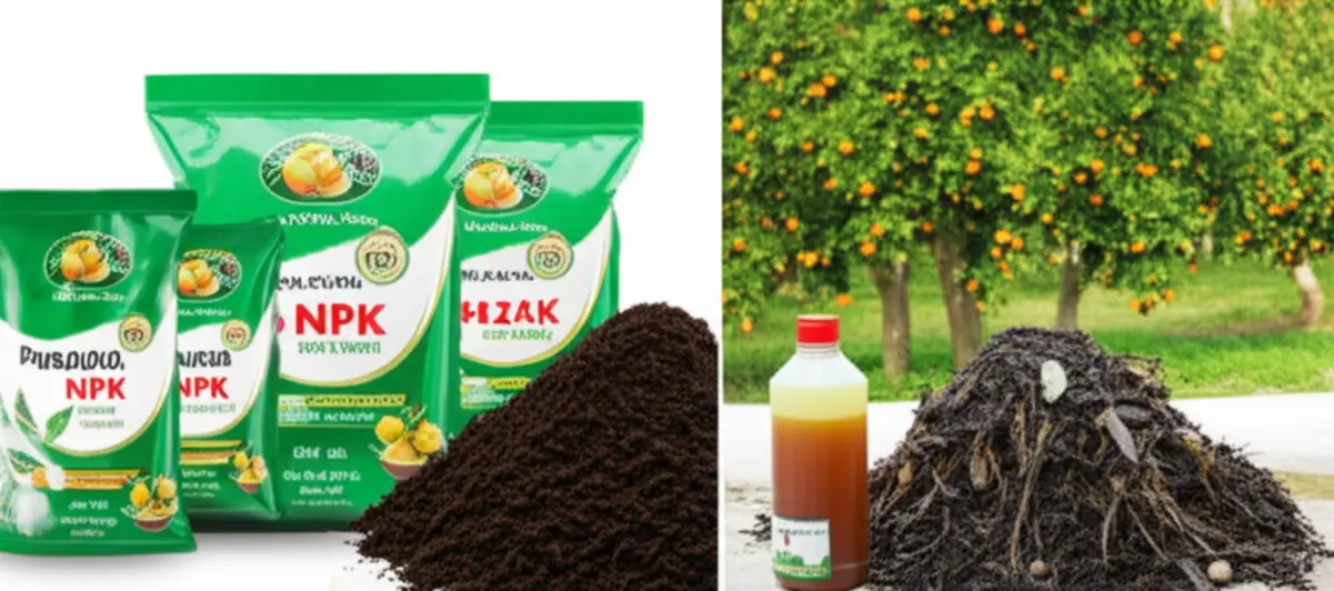 Dấu hiệu thiếu hụt dinh dưỡng trên lá cây có múi.