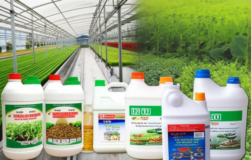 Nhu cầu dinh dưỡng khác nhau của các loại rau mầm.