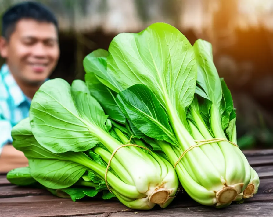 Hình ảnh mùa vụ rau cải bội thu với những bó cải xanh tươi tốt được bày trên bàn gỗ.