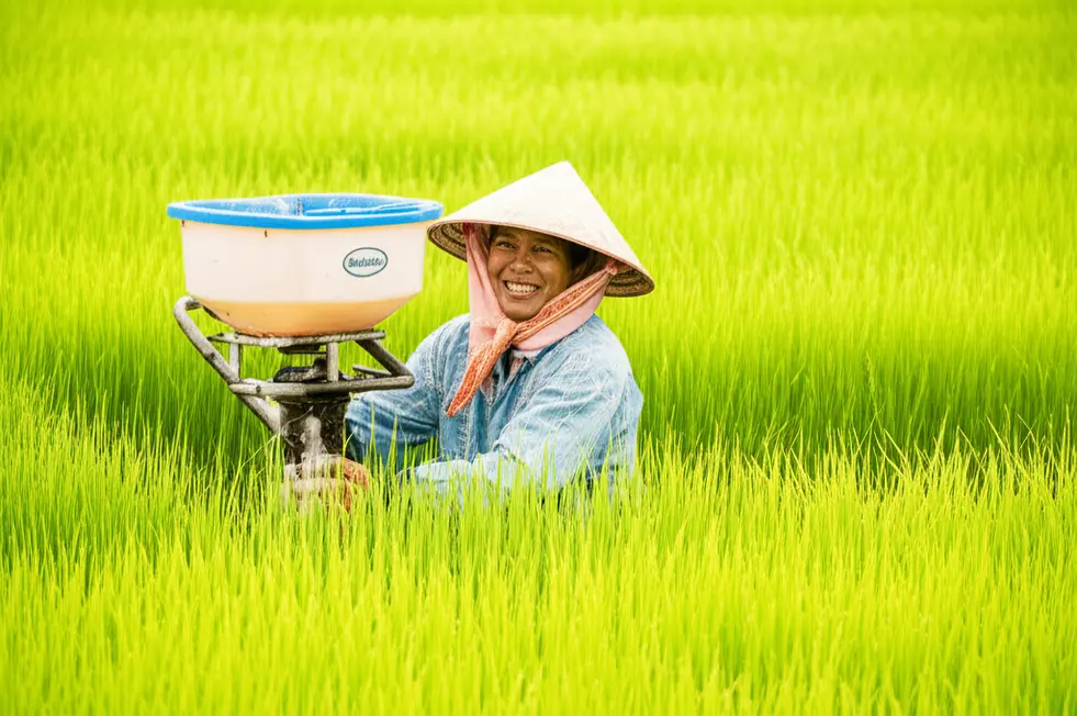 Rau củ xanh tốt nhờ sử dụng phân bón Khang Nguyên.
