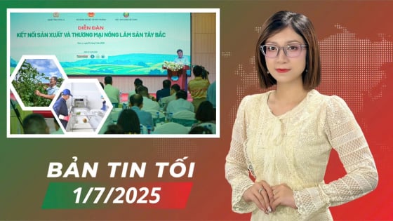 tay-bac-tap-trung-vao-san-pham-nong-nghiep-co-loi-the-canh-tranh