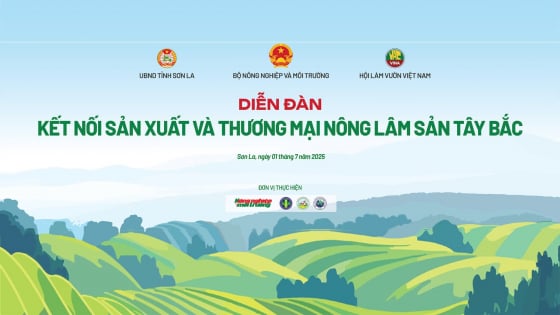 tong-thuat:-dien-dan-‘ket-noi-san-xuat-va-thuong-mai-nong-lam-san-tay-bac’