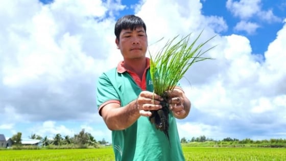 nong-nghiep-sinh-thai:-can-thu-hep-khoang-cach-giua-chinh-sach-va-thuc-tien