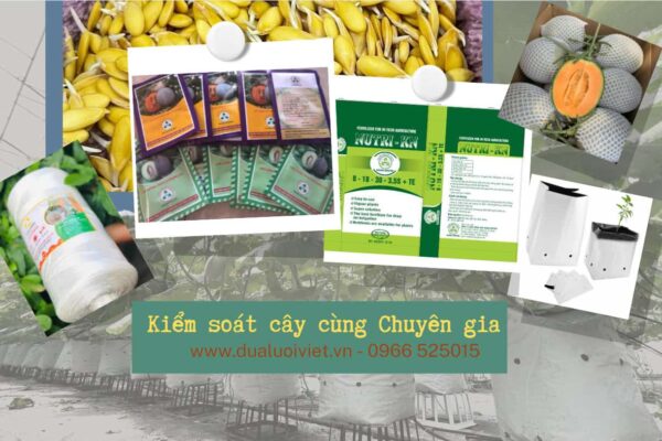 DỊCH VỤ NÔNG SINH KHANG NGUYÊN