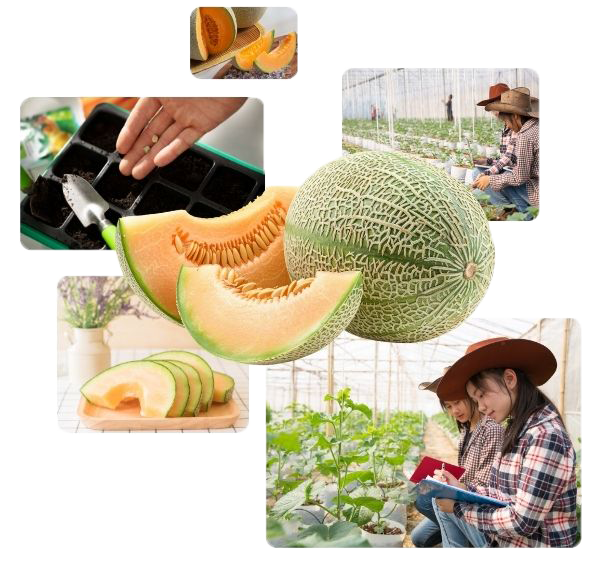 Trang chủ vị trí Nông sinh Khang Nguyên