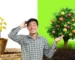 Một bên là cây còi cọc, vàng úa, một bên là cây xanh tươi, trĩu quả, thể hiện sự đối lập trong quá trình phát triển của cây trồng. Người nông dân đứng giữa với vẻ mặt hài hước.
