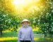 Hình ảnh một người nông dân Việt Nam đang mỉm cười tự hào giữa vườn bưởi đang trong mùa ra hoa đồng loạt, hoa nở trắng cành dưới ánh nắng sớm.
