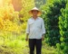 Nông dân đứng giữa vườn cà phê, một bên là cây còi cọc và một bên là cây xanh tốt, minh họa cho sự phục hồi thành công.