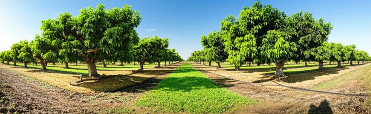 So sánh trực quan giữa cành cây khỏe mạnh (trái) và cành cây có dấu hiệu “ngủ” (phải).