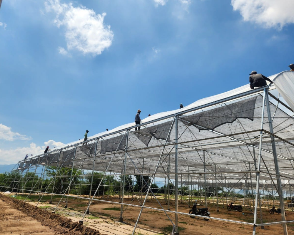 Vườn dưa lưới