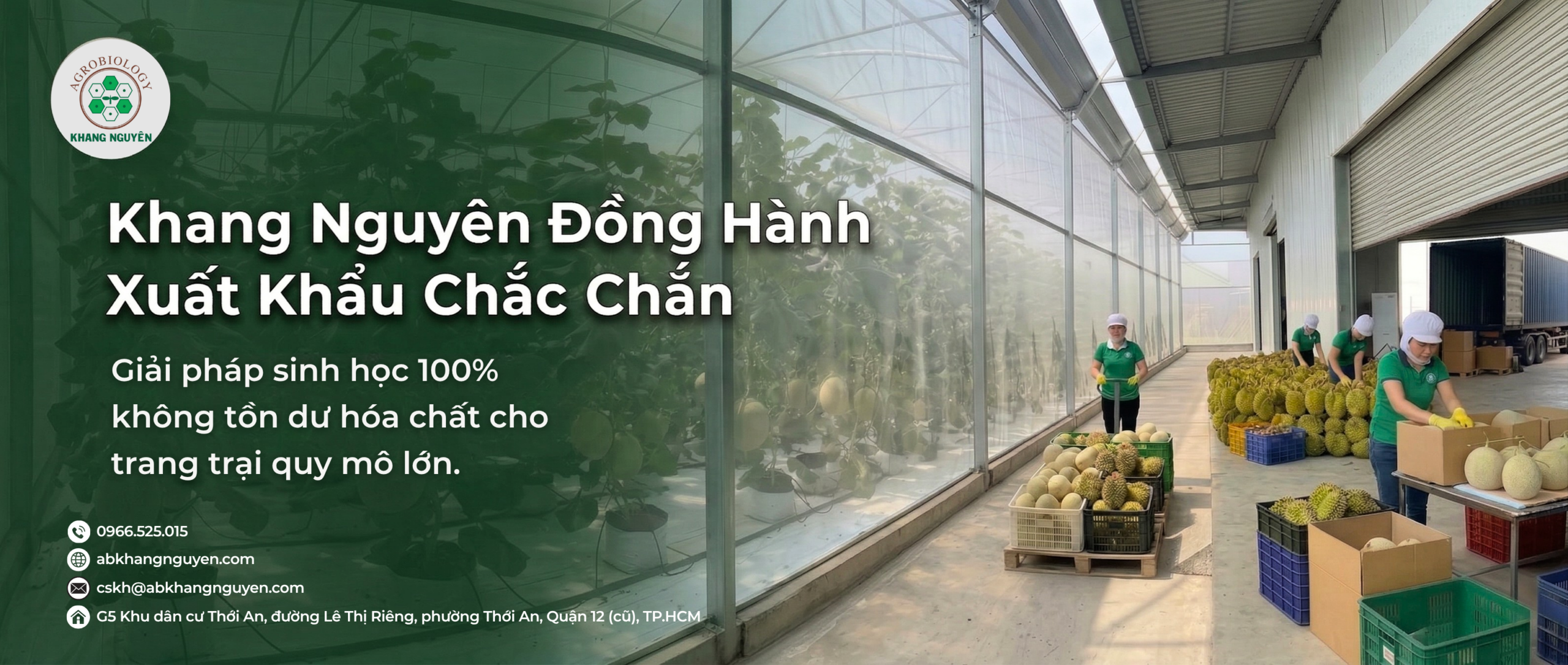 Khang Nguyên đồng hành, xuất khẩu chắc chắn