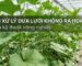 Khắc phục hiện tượng dưa lưới không ra hoa cái, vươn lóng dài và chậm làm nụ trong nhà màng