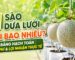 1 sào dưa lưới lãi bao nhiêu tiền và bảng hạch toán chi phí đầu tư nhà màng