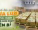 Cách bảo quản dưa lưới sau thu hoạch trong kho lạnh giúp kéo dài thời gian thương phẩm
