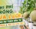 Bảng dự toán chi phí trồng dưa lưới chi tiết giúp chủ đầu tư làm chủ dòng tiền
