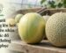 Sự khác biệt giữa dưa lưới cuộn lưới chuẩn 3D và dưa lưới bị rối loạn sinh lý vỏ trơn láng