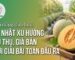 Tiềm năng tiêu thụ và xu hướng phát triển của thị trường dưa lưới hiện nay