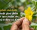 Kỹ thuật thụ phấn dưa lưới nhân tạo bằng tay giúp tăng tỷ lệ đậu trái tối đa