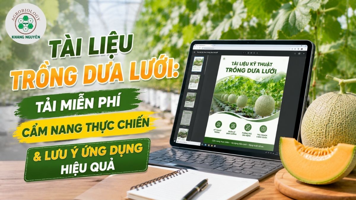 Tải ngay bộ tài liệu trồng dưa lưới thực chiến và phác đồ phòng trừ sâu bệnh