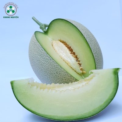Hạt giống dưa lưới lai F1 Khang Nguyên giòn ngọt