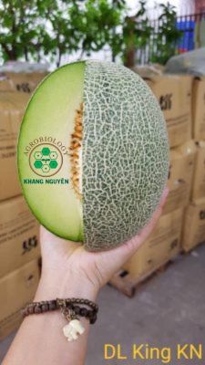 Hạt giống dưa lưới King KN ruột xanh thanh mát
