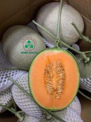 Hạt giống dưa lưới Queen KN ruột cam