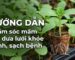 Kỹ thuật ươm và chăm sóc mầm cây dưa lưới chuẩn chuyên gia