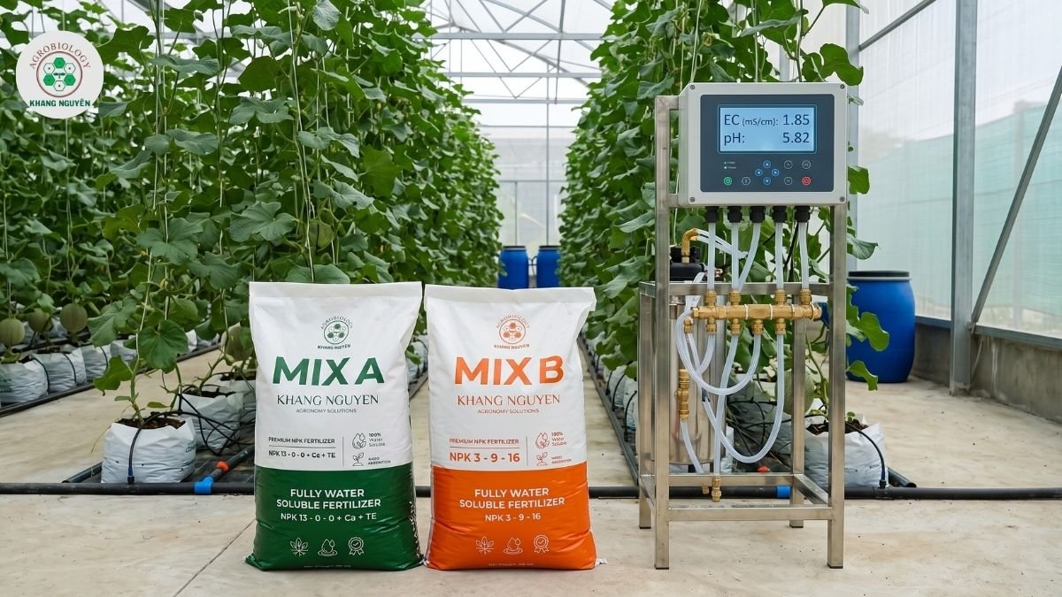 Bộ phân bón Mix AB cho dưa lưới từ Khang Nguyên