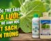 Lựa chọn thuốc trừ sâu dưa lưới sinh học an toàn chuẩn xuất khẩu