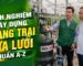 Kinh nghiệm xây dựng và vận hành trang trại dưa lưới công nghệ cao lợi nhuận khủng