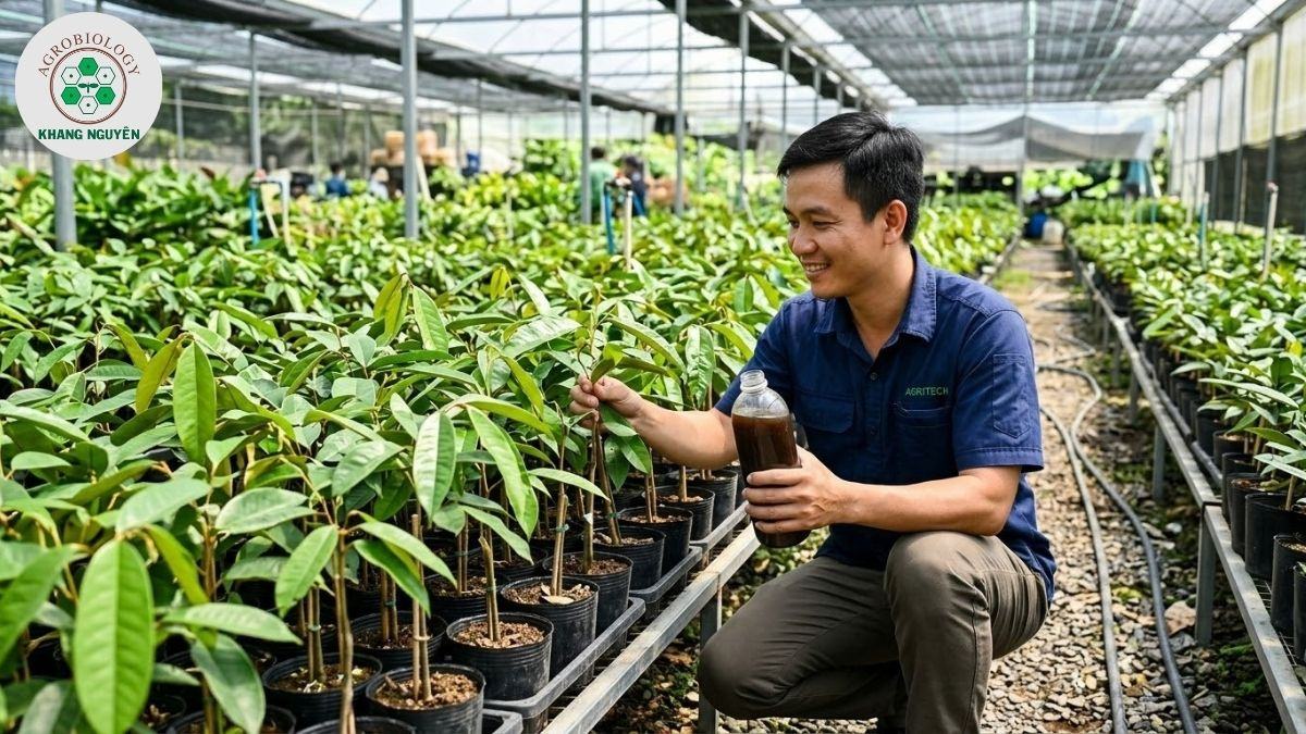 Chăm sóc cây sầu riêng con bằng Dịch mùn 201 của Khang Nguyên