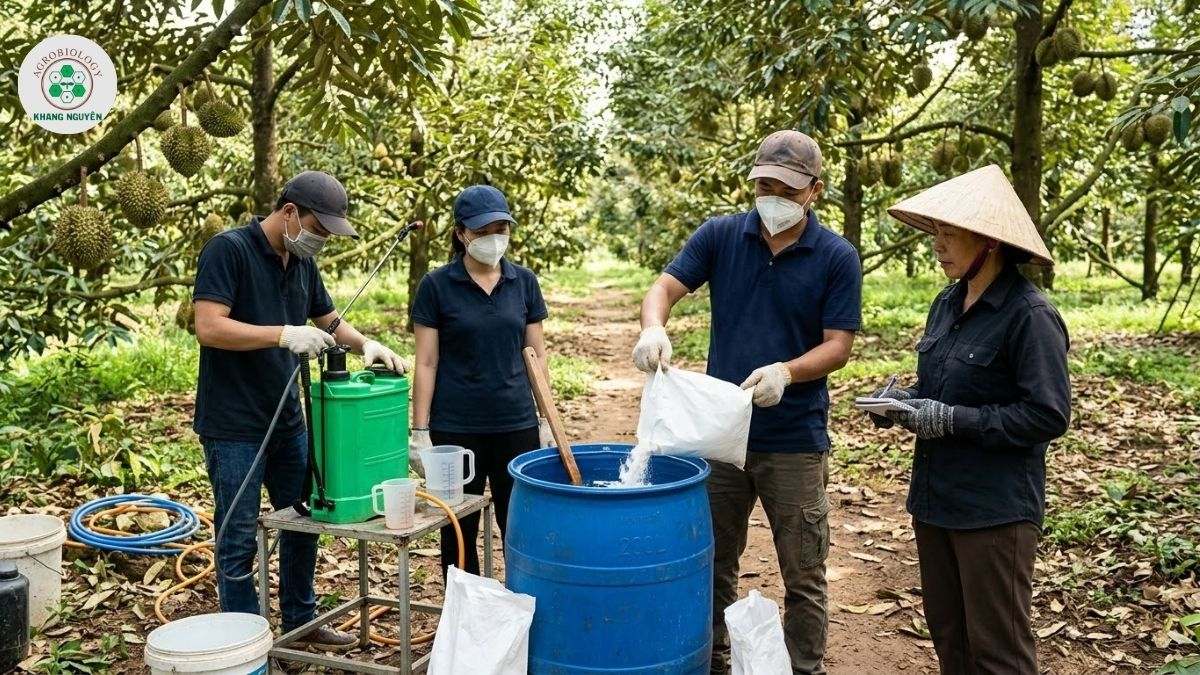 Nông Sinh Khang Nguyên chuyên gia điều trị nấm bệnh sầu riêng