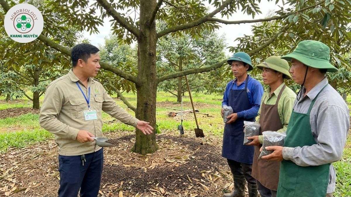 Bộ sản phẩm sinh học chăm sóc sầu riêng Khang Nguyên