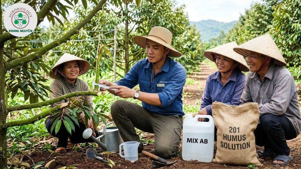 Chuyên gia Khang Nguyên hướng dẫn cách trồng và chăm sóc sầu riêng Ri6
