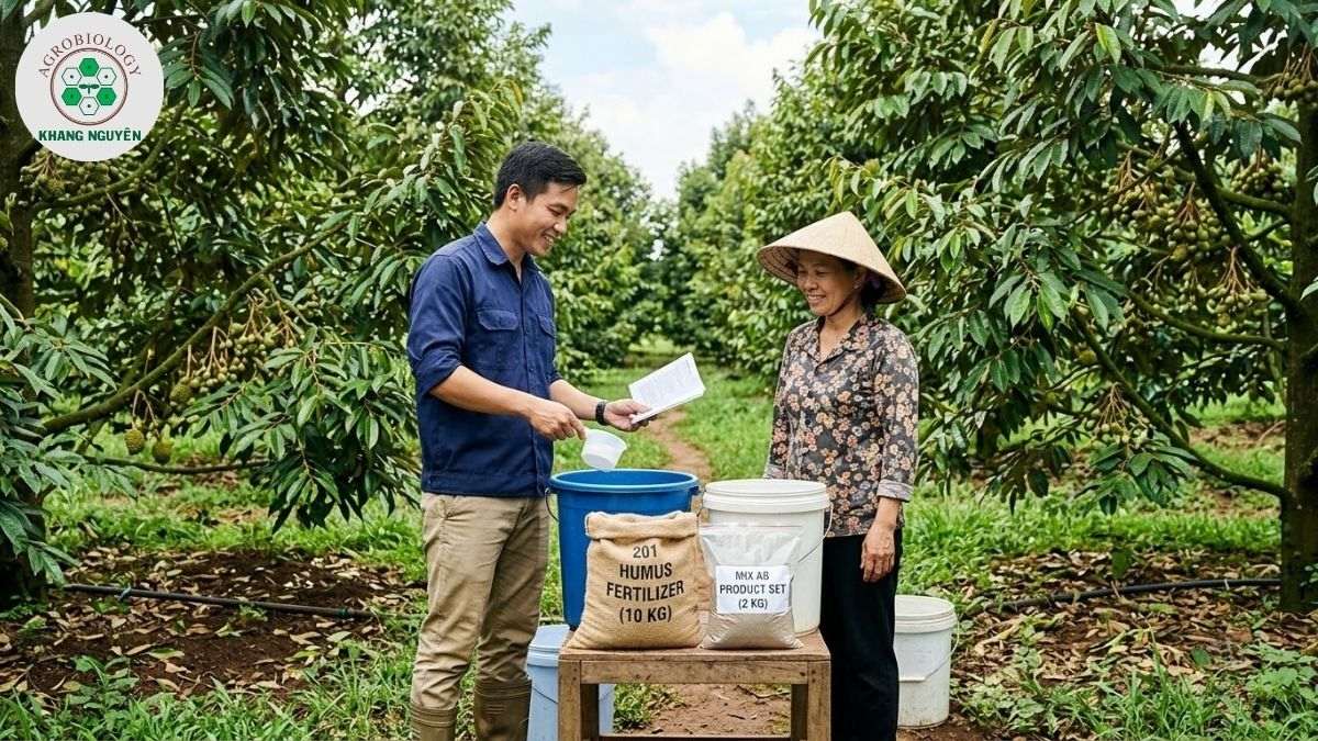  Chuyên gia Khang Nguyên đồng hành hướng dẫn kỹ thuật trồng sầu riêng