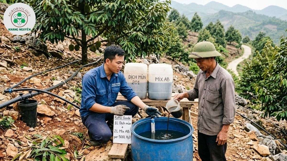 Chuyên gia Khang Nguyên tư vấn kỹ thuật sầu riêng trên đất đá