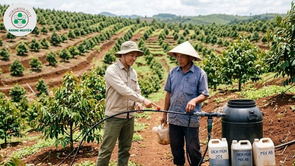 Chuyên gia Khang Nguyên hướng dẫn kỹ thuật chăm sóc sầu riêng đất đồi