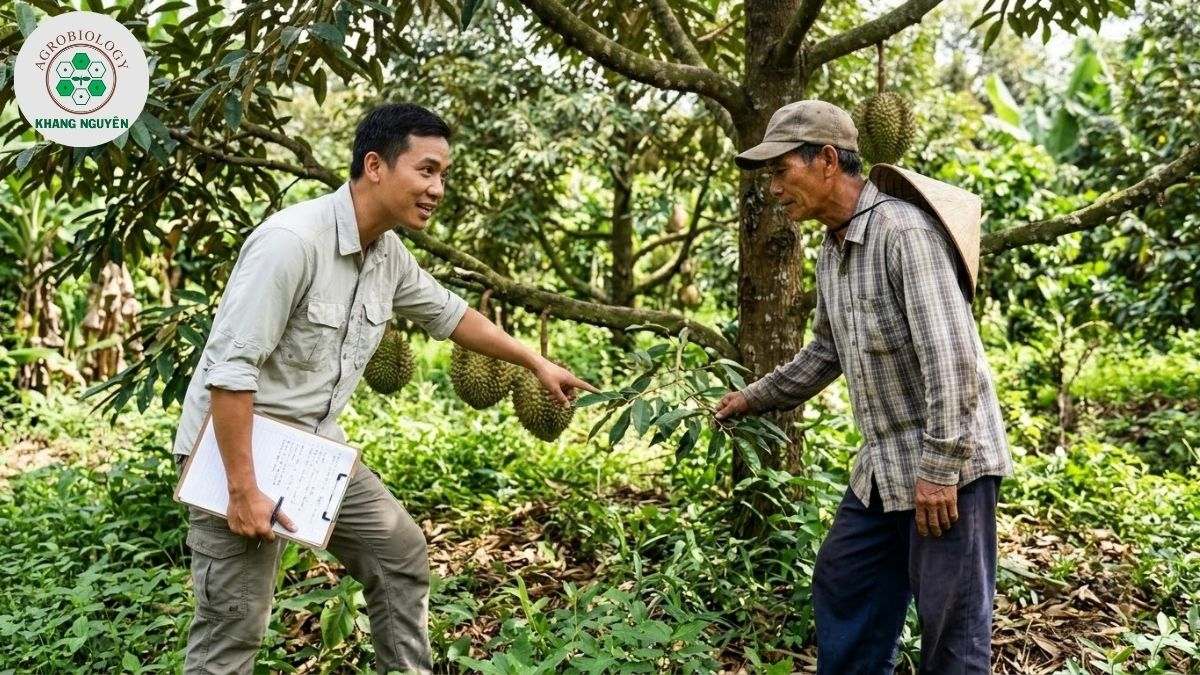 Chuyên gia Khang Nguyên chuyển giao giải pháp sinh học cho các mô hình sầu riêng